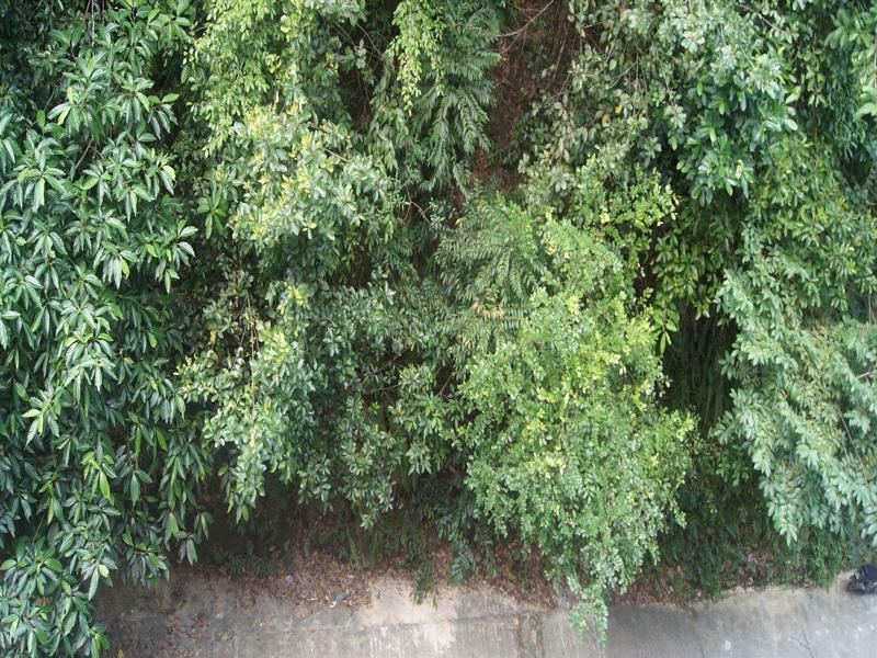 Hotel Hsiang Garden Sandakan Exterior photo